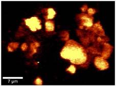 High resolution confocal Raman map of drospirenone in Mya Tablet 1, Area 2.