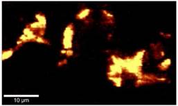 High resolution confocal Raman map of prospirenone in Zamine Tablet 2, Area 10.